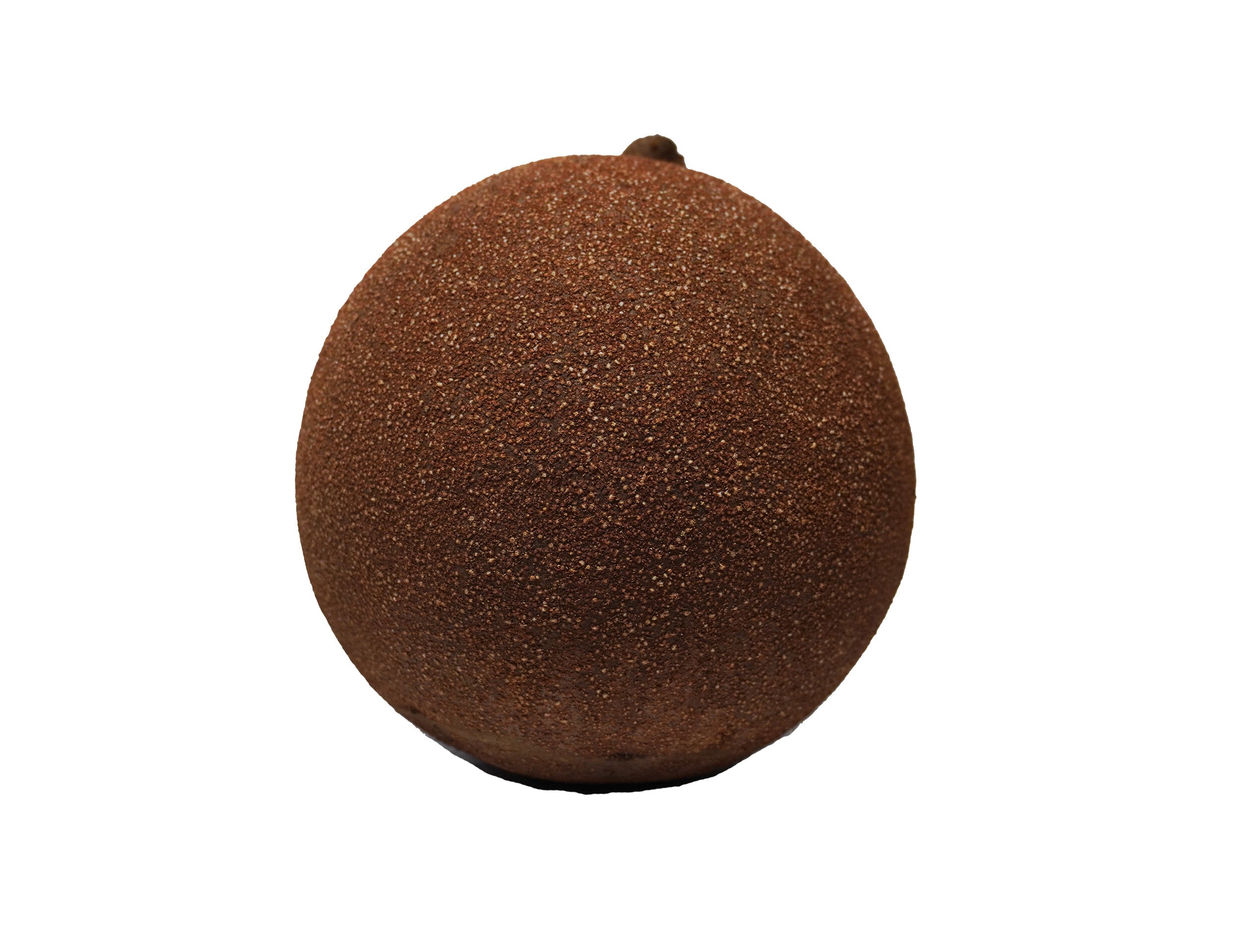 Cannonball fruit with a round shape and rough, brown surface placed against a plain background.