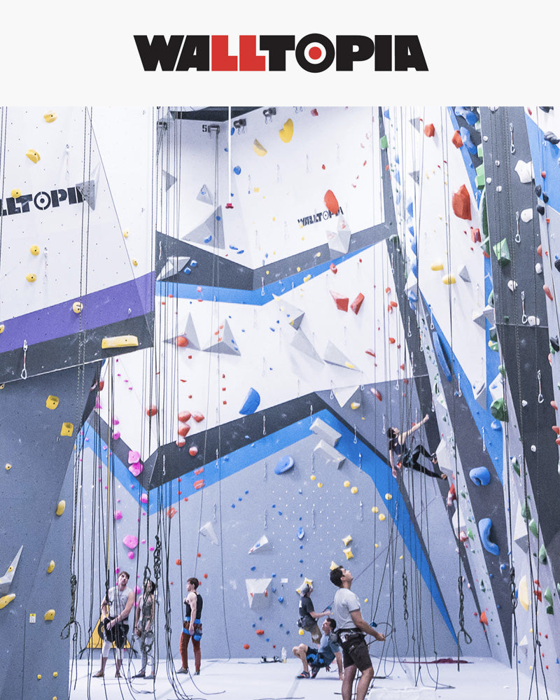 Playground catalogue of Walltopia