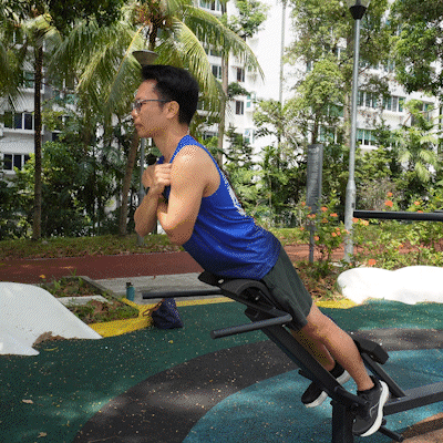 Omnigym hyperextension machine strengthens the lower back, glutes and hamstrings for outdoor fitness.