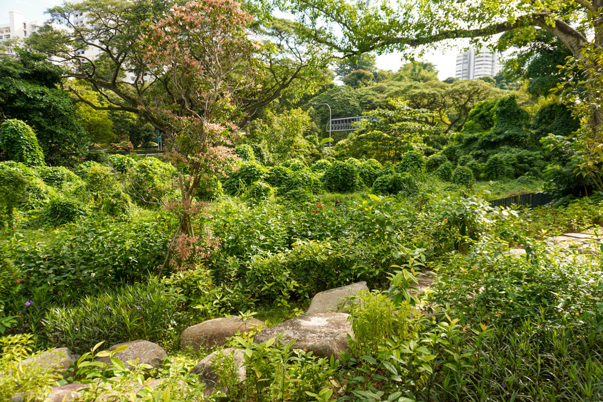 Avenue South Residences playground near the scenic railway corridor, seamlessly integrates with natural surroundings.