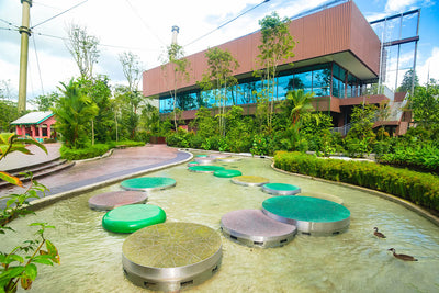 Mandai Bird Paradise Lilypad Hop features giant lily pads for kids to leap, enhancing balance and imaginative play.